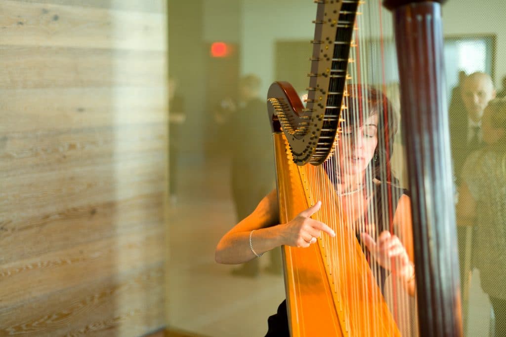 Harpist 1024x683 - Details