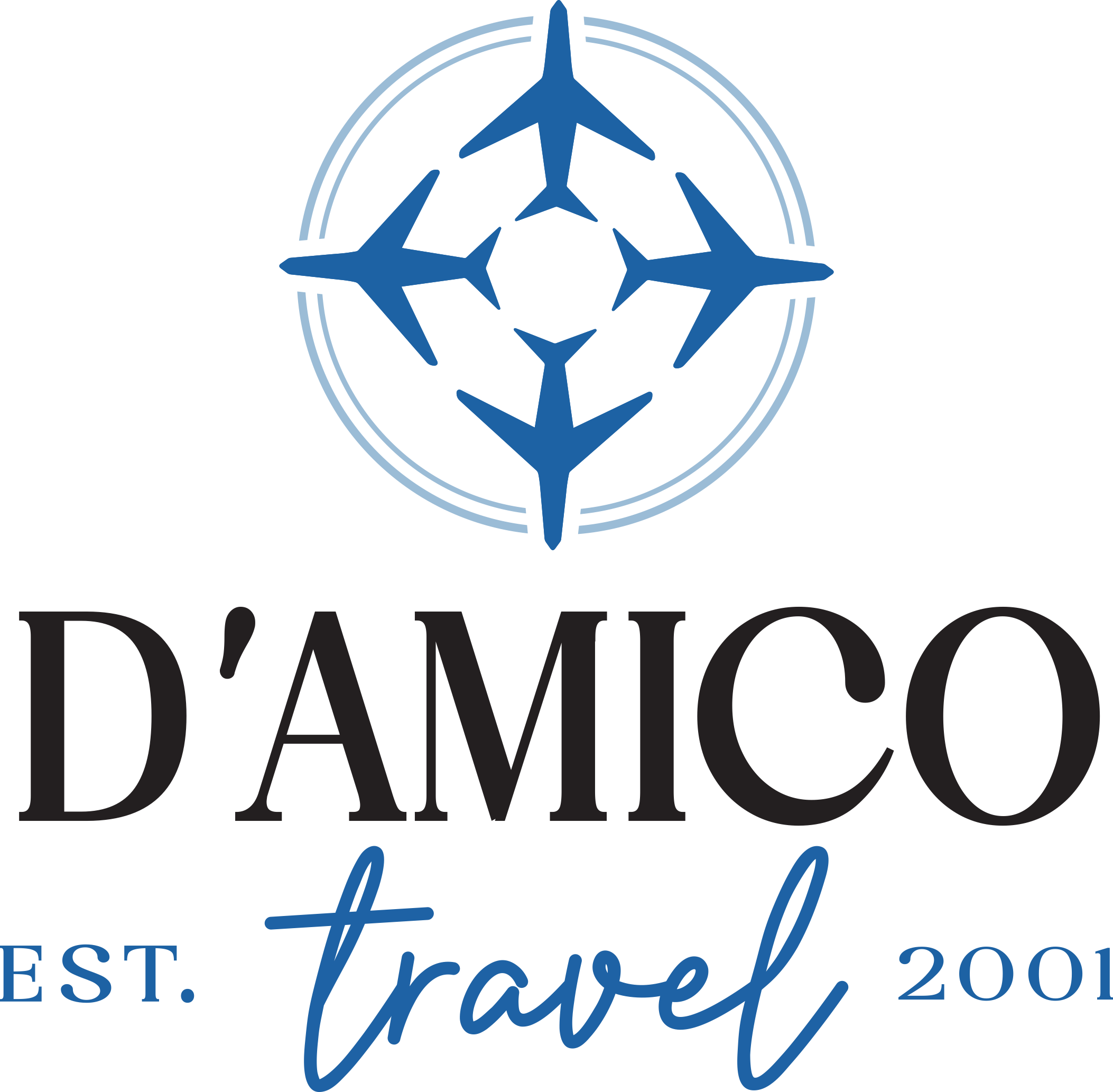 DAmico Travel Logo 1 - Partners